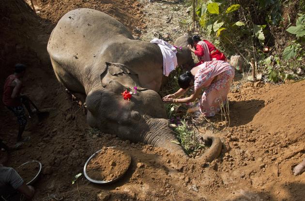 Village women pray near the carcass of a wild Asiatic male elephant at Amgaon, near Gauhati, December 3, 2016(AP)