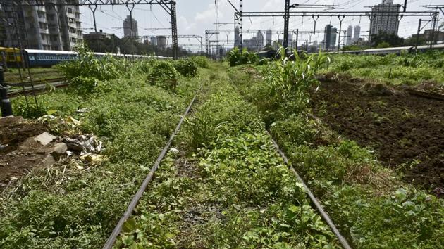Not on the right track: This railway line at Matunga certainly needs a push in the right direction.  (Arijit Sen/HT PHOTO) 