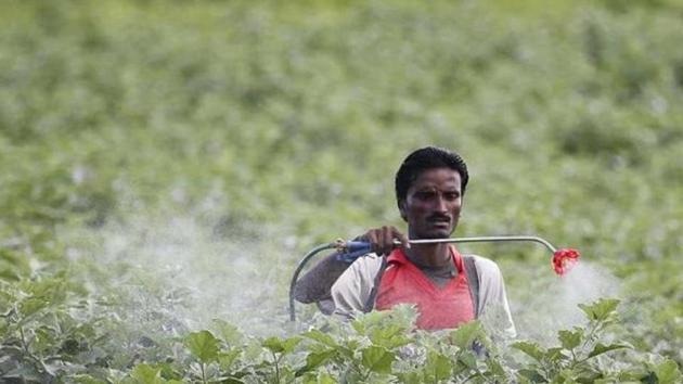 A farmer sprays pesticide in the cotton field at Pandharkawada in Maharashtra. Many pesticides, likely carcinogenic in nature and banned in many countries. (HT File Photo) A farmer sprays pesticide in the cotton field at Pandharkawada in Maharashtra. Many pesticides, likely carcinogenic in nature and banned in many countries. (HT File Photo)
