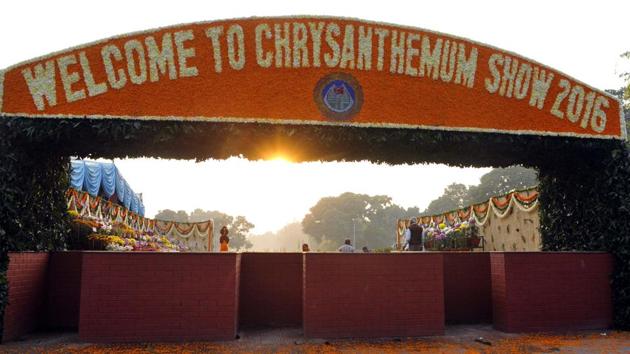 All set for the annual Chrysanthemum Show in Sector 33, Chandigarh, on Thursday. The show is from December 9 to 11. (Keshav Singh/HT)