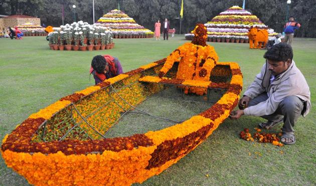 All set for the annual Chrysanthemum Show in Sector 33, Chandigarh, on Thursday. The show is from December 9 to 11. (Keshav Singh/HT)