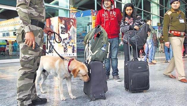 A CISF sniffer dog checks baggage at the Indira Gandhi International Airport in New Delhi. (HT File Photo)