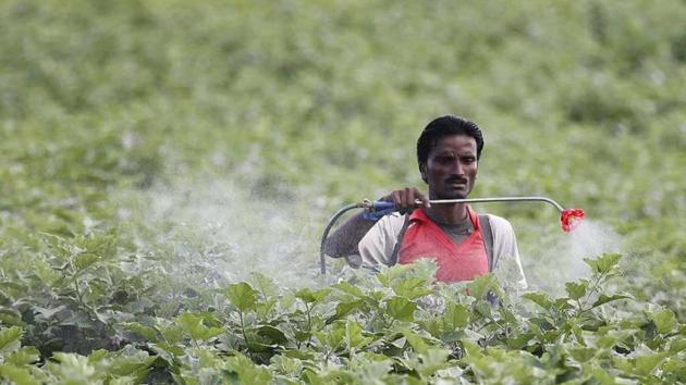 Last year, Pakistan imported ginned cotton worth more than USD 800 million from India which accounted for two-thirds of India’s cotton exports. (HT file) Last year, Pakistan imported ginned cotton worth more than USD 800 million from India which accounted for two-thirds of India’s cotton exports. (HT file)