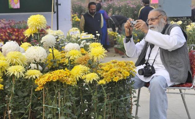 At the chrysanthemum show at PAU in Ludhiana. (Jagtinder Singh Grewal/HT)