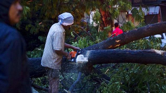 A man saws a tree fallen in Chennai due to the cyclone Vardah on Monday. (AFP) A man saws a tree fallen in Chennai due to the cyclone Vardah on Monday. (AFP)