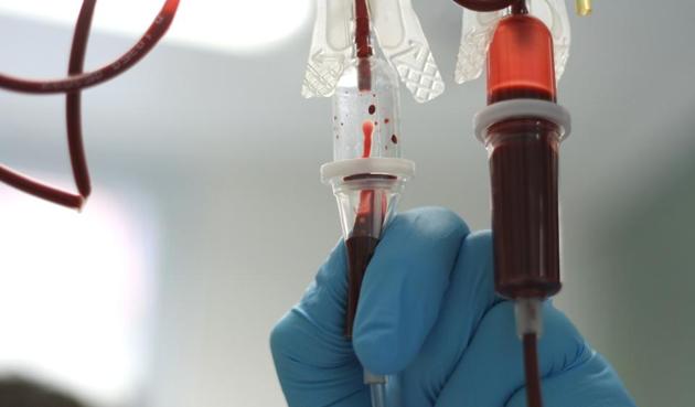 The RTI filed by a doctor revealed that of the 4,951 units of blood collected during 2012-2016 (up to November 25), 1,019 units expired due to not being issued or sent for component separation. (Rep pic/HT Photo) The RTI filed by a doctor revealed that of the 4,951 units of blood collected during 2012-2016 (up to November 25), 1,019 units expired due to not being issued or sent for component separation. (Rep pic/HT Photo)