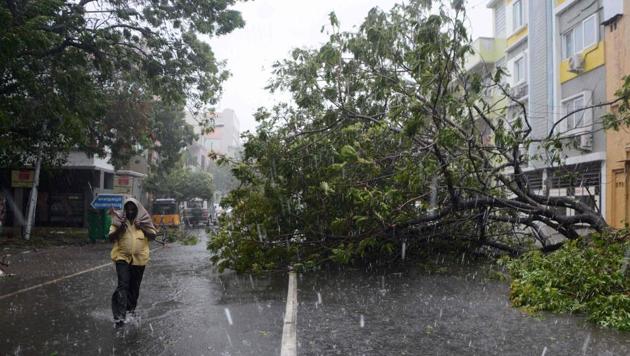 A man walks along a street covered with debris and fallen trees in Chennai as Cyclone Vardah made landfall on Sunday.(AFP Photo)