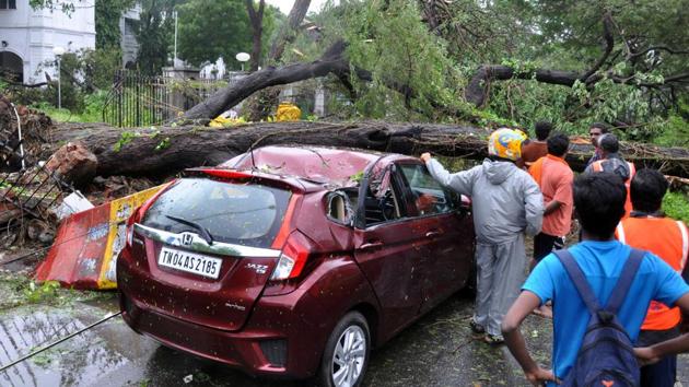 Tamil Nadu chief minister O Panneerselvam said the cyclone uprooted more than 4,000 trees but citizens claimed the number could be much higher. (Vanne Srinivasulu/HT Photo) Tamil Nadu chief minister O Panneerselvam said the cyclone uprooted more than 4,000 trees but citizens claimed the number could be much higher. (Vanne Srinivasulu/HT Photo)
