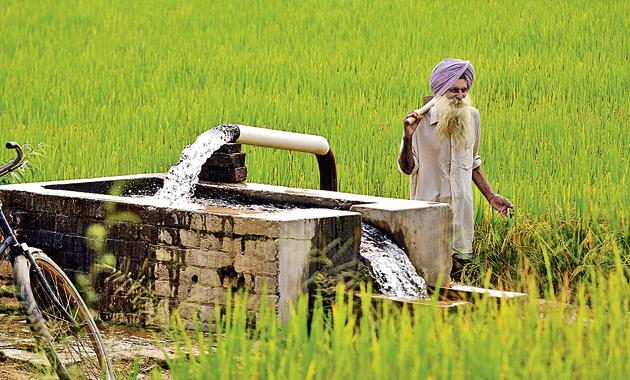Farmers using more power without the permission of PSPCL are liable to be penalised. (HT Photo) Farmers using more power without the permission of PSPCL are liable to be penalised. (HT Photo)
