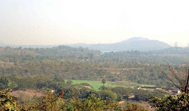 For decades, as the green cover across Mumbai was threatened and trounced by cement and concrete, Mumbai’s citizens believed that at least the Aarey forest was legally protected.(HT File Photo)