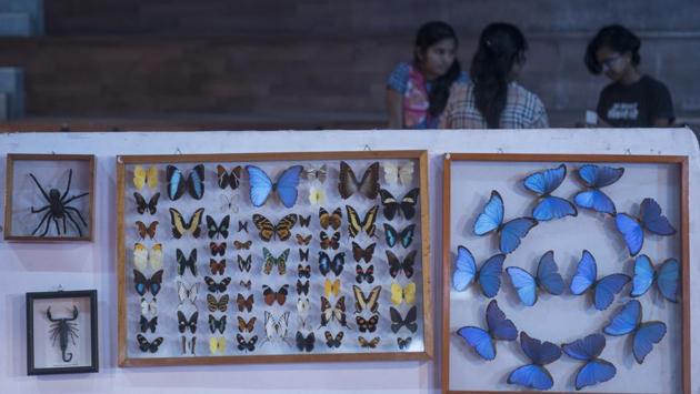 Well researched: The exhibition is a result of The Salcette Explorations Project 2015-16 carried out by The Indian Study Research, in collaboration with Centre for Extra-mural Studies and Sathaye College. (SATISH BATE/HT PHOTO) 