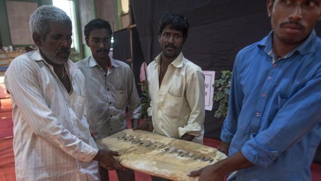 Setting the stage: Rare rocks, minerals and fossils as old as 40 million years, pottery and weapons are on display. (SATISH BATE/HT PHOTO) 