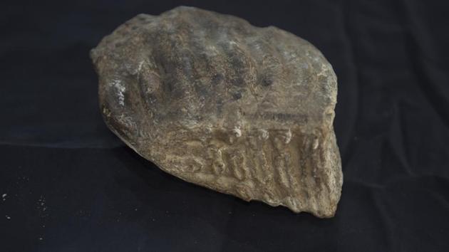 Rock-solid support: One of the items on display. (SATISH BATE/HT PHOTO) 