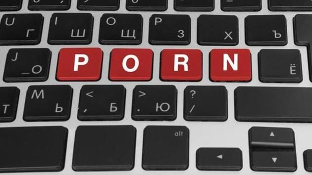The action was taken as part of a special drive on internet cafes to check cyber offences and restrict minors from watching porn and other ‘objectionable content’ online. (Shutterstock)