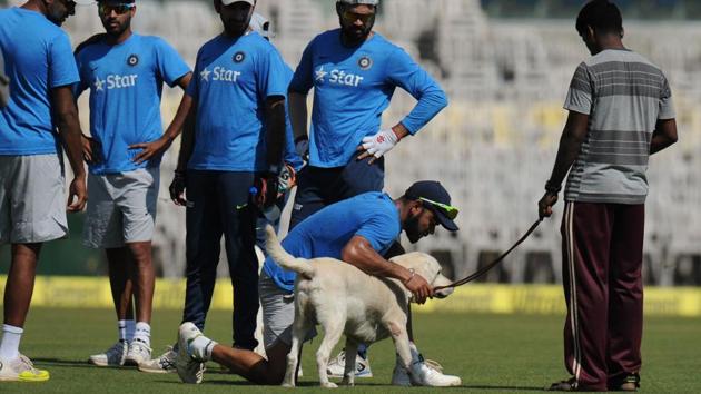 India's captain Virat Kohli plays with a sniffer dog during a training session ahead of the fifth cricket Test match between India and England at the M.A. Chidhambaram stadium in Chennai. (AFP)