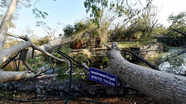 A damaged compound at the Arignar Anna Zoo in Chennai on Thursday following the Cyclone Vardah. (PTI) A damaged compound at the Arignar Anna Zoo in Chennai on Thursday following the Cyclone Vardah. (PTI)