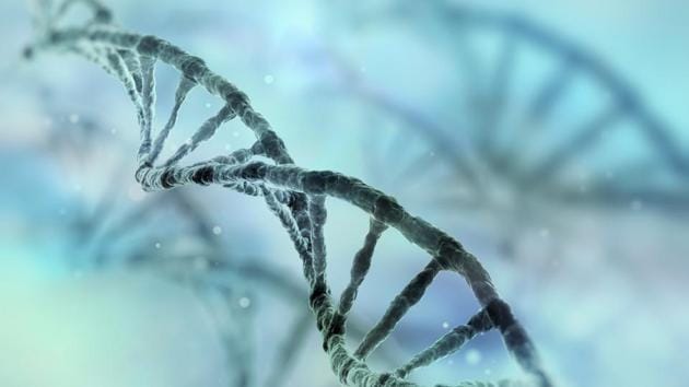 Several gene sequencing projects are coming up across the world that are storing commercially valuable gene sequence information in online databases.(Getty Images/iStockphoto)