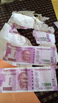 fake Rs 2000 notes seized in Shahdol.