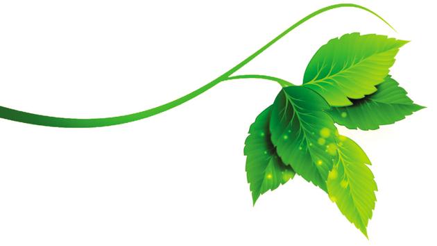 The assessment gains significance in light of a host of environmental issues through 2016, with loss of green cover for many infrastructure and housing projects, overburdened landfills, poor air and water quality plaguing the city’s ecology. (HT File Photo) The assessment gains significance in light of a host of environmental issues through 2016, with loss of green cover for many infrastructure and housing projects, overburdened landfills, poor air and water quality plaguing the city’s ecology. (HT File Photo)