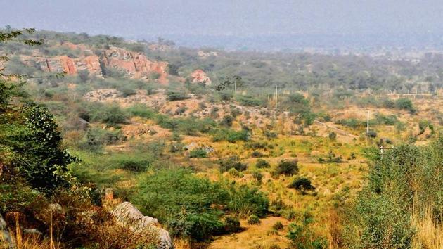 Activists said that a decision of widening the definition of ‘forests’ will change the face of the region. (HT File Photo) Activists said that a decision of widening the definition of ‘forests’ will change the face of the region. (HT File Photo)