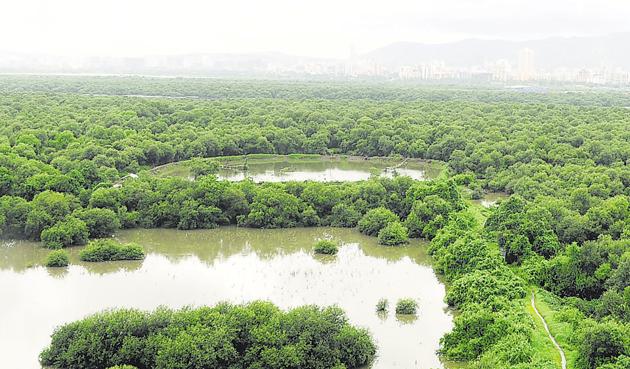In August 2015, the state government declared the 1,690-hectare northern part of Thane creek, covering Airoli and Vashi, which is a reserved forest, as a flamingo sanctuary.(HT File Photo)