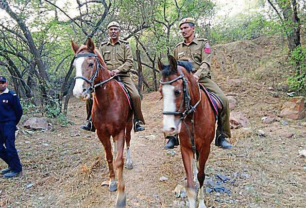 The heavy deployment of force remained on campus for two days from morning to evening. On Tuesday, the search began at 10.30 am and continued till 5 pm. The heavy deployment of force remained on campus for two days from morning to evening. On Tuesday, the search began at 10.30 am and continued till 5 pm.
