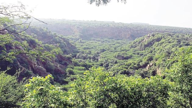 The Centre extended the ban on mining and other non-forest activities to 13 districts of Haryana, seven of Uttar Pradesh, and two of Rajasthan. Till now, it was applicable only to certain pockets of Gurgaon and Alwar district in Rajasthan. (HT file photo) The Centre extended the ban on mining and other non-forest activities to 13 districts of Haryana, seven of Uttar Pradesh, and two of Rajasthan. Till now, it was applicable only to certain pockets of Gurgaon and Alwar district in Rajasthan. (HT file photo)
