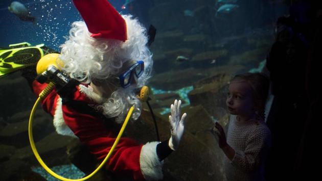 A man dressed as Santa Claus greets visitors as he dives to feed fish in the aquarium of Paris. ( MARTIN BUREAU / AFP) A man dressed as Santa Claus greets visitors as he dives to feed fish in the aquarium of Paris. ( MARTIN BUREAU / AFP)