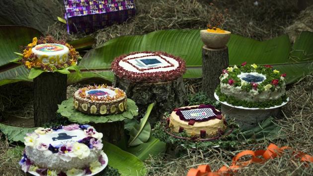 A variety of cakes sit on the floor inside the enclosure of Colo. (AP Photo)