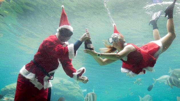 Two workers dressed as Santa Claus gesture as they swim in a fish tank during a show at the South African Marine Biological Research (SAMBR) Sea World n Durban. ( RAJESH JANTILAL / AFP) Two workers dressed as Santa Claus gesture as they swim in a fish tank during a show at the South African Marine Biological Research (SAMBR) Sea World n Durban. ( RAJESH JANTILAL / AFP)