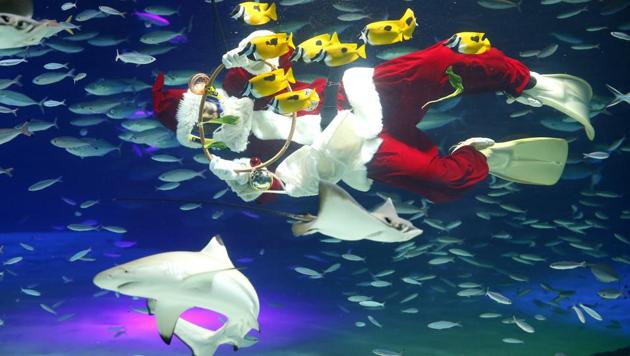 A diver dressed as Santa Claus feeds fish at the annual Christmas event at Tokyo's Sunshine International Aquarium in Tokyo. (Shizuo Kambayashi / AP) A diver dressed as Santa Claus feeds fish at the annual Christmas event at Tokyo's Sunshine International Aquarium in Tokyo. (Shizuo Kambayashi / AP)