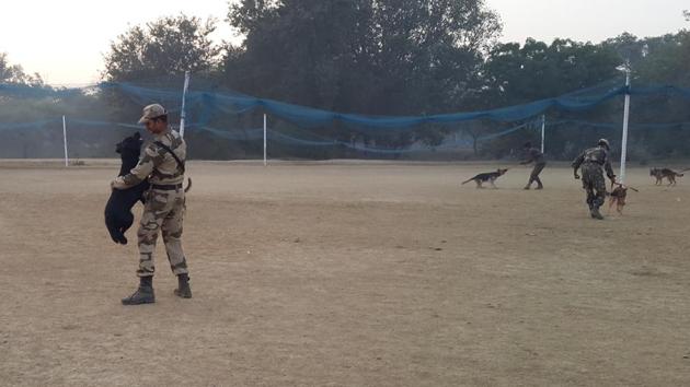 Play is an important part of training. At the morning PT, all it needs is a the ‘khelo’ command from the Senior Vet Panchbuddhe for all round bedlam to ensue. (rachel lopez / ht photos )