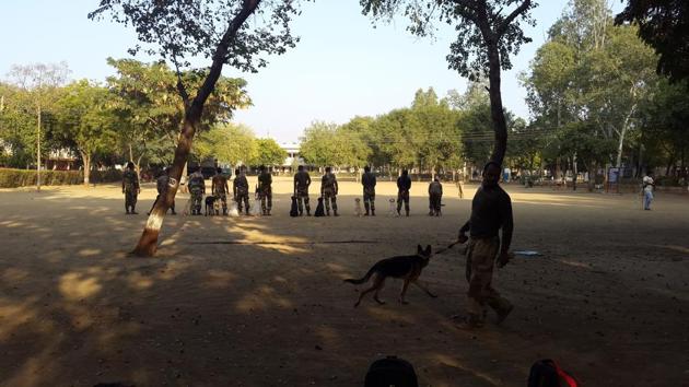 These are the dogs that will guard your borders. (Rachel Lopez / ht photos )