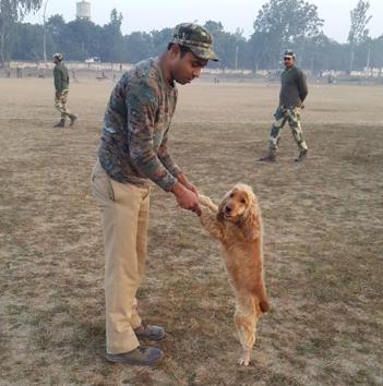 Gautam Chakravarti and spaniel Caesar, who will soon join guard the CM of West Bengal. Caesar is agile and a good sniffer, but she sure takes longer to groom than short-haired dogs, he says. (Rachel Lopez / ht photos )