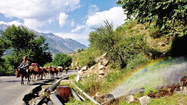 A tribal rights body said that 15,000 cattle had perished in the last few months as the crippling drought persisted and most of the tribals were struggling to stay alive.(File Photo) A tribal rights body said that 15,000 cattle had perished in the last few months as the crippling drought persisted and most of the tribals were struggling to stay alive.(File Photo)