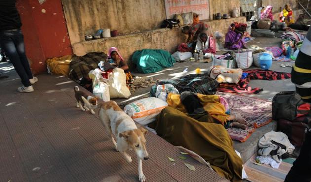 People take rest at the shed on hospital premises. The chief minister has cancelled the tender of the agency appointed for cleaning hospital premises.(Praveen Bajpai/HT photo) People take rest at the shed on hospital premises. The chief minister has cancelled the tender of the agency appointed for cleaning hospital premises.(Praveen Bajpai/HT photo)