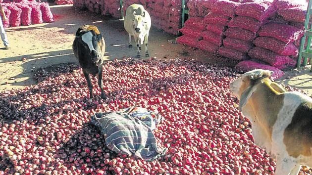 Some distressed farmers threw their onion produce in front of stray cattle at the Neemuch market in December.(Arun Mondhe/Hindustan Times)