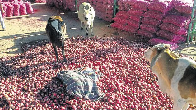 The govt is awfully proud of this year's cotton bumper crop. They