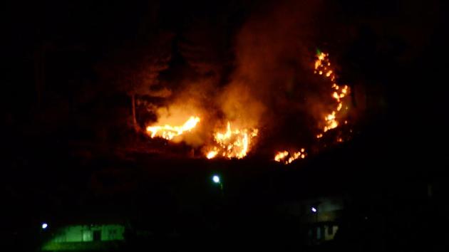 Shimla, Himachal Pradesh, India December 22: Forest caught in fire near residential area last night at Dhingu Dhaar in Sanjauli, Shimla on Thursday, December 22 2016. Photo by Deepak Sansta / Hindustan Times(HT file photo)