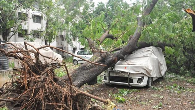 Cyclone Vardah made landfall in Chennai on Dec 12, uprooting trees, defacing high-rises, smashing cars, disrupting public transport and telecommunication, bringing the metropolitan area to a standstill.(V Srinivasulu / HT file photo)