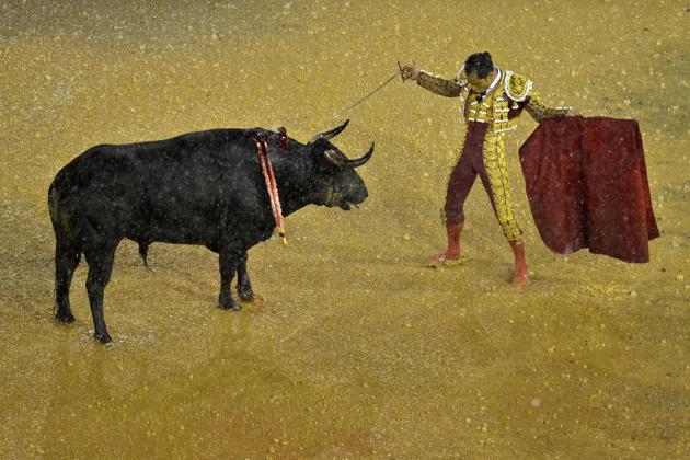 Man Vs Animal: Colombia’s Bullfighting Festival | Hindustan Times