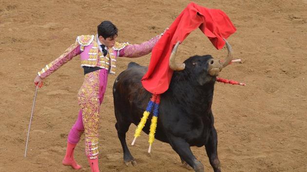 Spanish bullfighter Lopez Simon performs at the a bullfight. (LUIS ROBAYO / AFP)