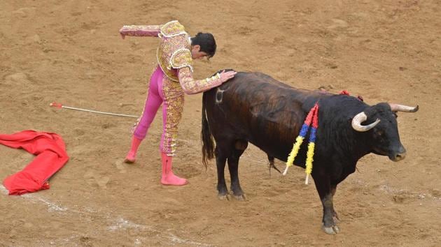 Spanish bullfighter Lopez Simon performs during a bullfight at the Canaveralejo bullring in Cali, department of Valle del Cauca, Colombia on December 30 in the framework of the 59th Fair of Cali. (LUIS ROBAYO / AFP)