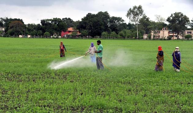 In climate-smart villages, the farmers would be encouraged to go for short duration variety of crops, in addition to using drought-resistance seeds.(HT file photo) In climate-smart villages, the farmers would be encouraged to go for short duration variety of crops, in addition to using drought-resistance seeds.(HT file photo)