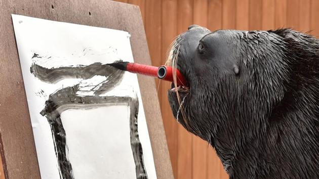 Fourteen year-old Leo, a male sea lion, attends a calligraphy training session to learn painting the character for ‘Rooster’ at the Hakkeijima Sea Paradise aquarium in Yokohama, Tokyo on December 26, 2016. The event marks the upcoming Lunar ‘Year of the Rooster’ and is part of the aquarium's New Year's attractions until January 31. (KAZUHIRO NOGI / AFP)