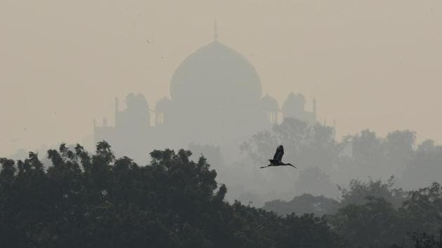 Painted Stork flies over the Delhi Zoo. (Virendra Singh Gosain/HT photo)