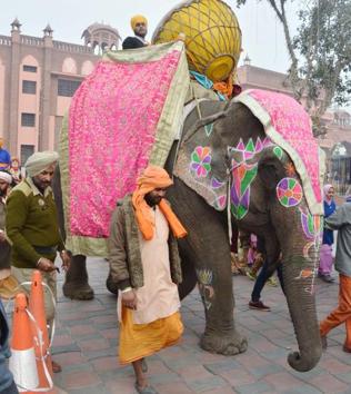 An elephant all decked up as part of a nagar kirtan during the 350th birth anniversary celebrations of Guru Gobind Singh, in Amritsar on Tuesday. (Sameer Sehgal/HT)