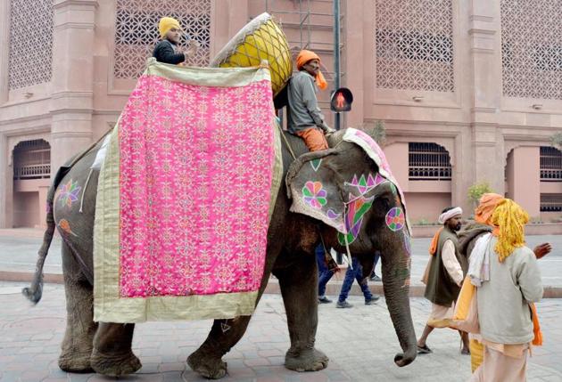 An elephant all decked up as part of a nagar kirtan during the 350th birth anniversary celebrations of Guru Gobind Singh, in Amritsar on Tuesday. (Sameer Sehgal/HT)