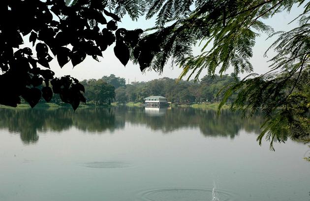 Jayanti Sarovar in Jamshedpur that teems with migratory birds during the winter months, wears a deserted look as the winged visitors have not come this January. (Arvind Sharma/HT Photo.) Jayanti Sarovar in Jamshedpur that teems with migratory birds during the winter months, wears a deserted look as the winged visitors have not come this January. (Arvind Sharma/HT Photo.)
