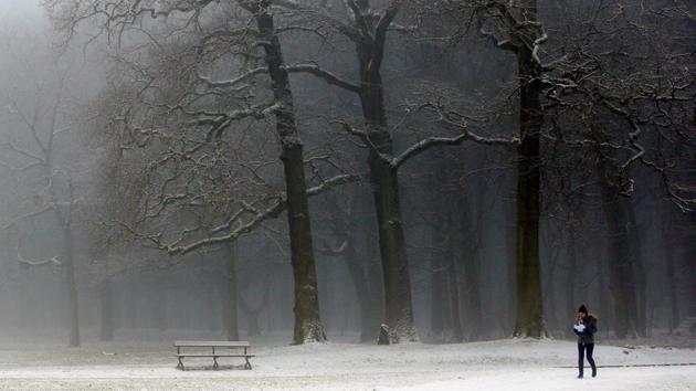 Trees, benches and paths in this park at Brussels, Belgium are frozen under a layer of snow. (REUTERS)